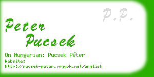 peter pucsek business card