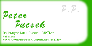 peter pucsek business card